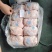 肥猪大肚20个左右
