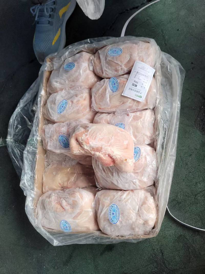 肥猪大肚20个左右