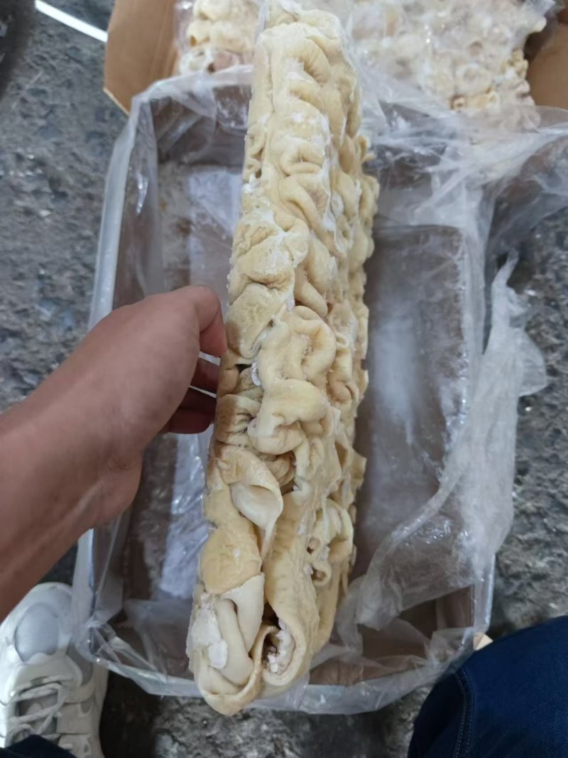 开口去油肥肠