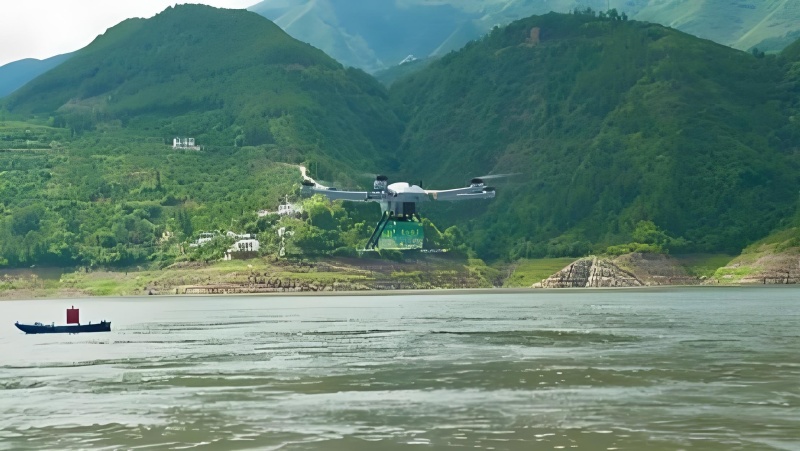 高山青脆李：清脆爽口，汁多味甜；呈脆绿色，质地均匀剔透.