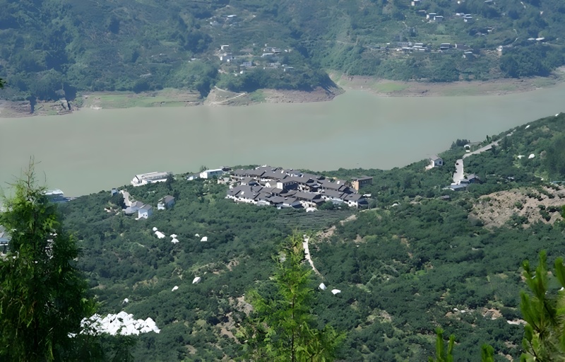 高山青脆李：清脆爽口，汁多味甜；呈脆绿色，质地均匀剔透.