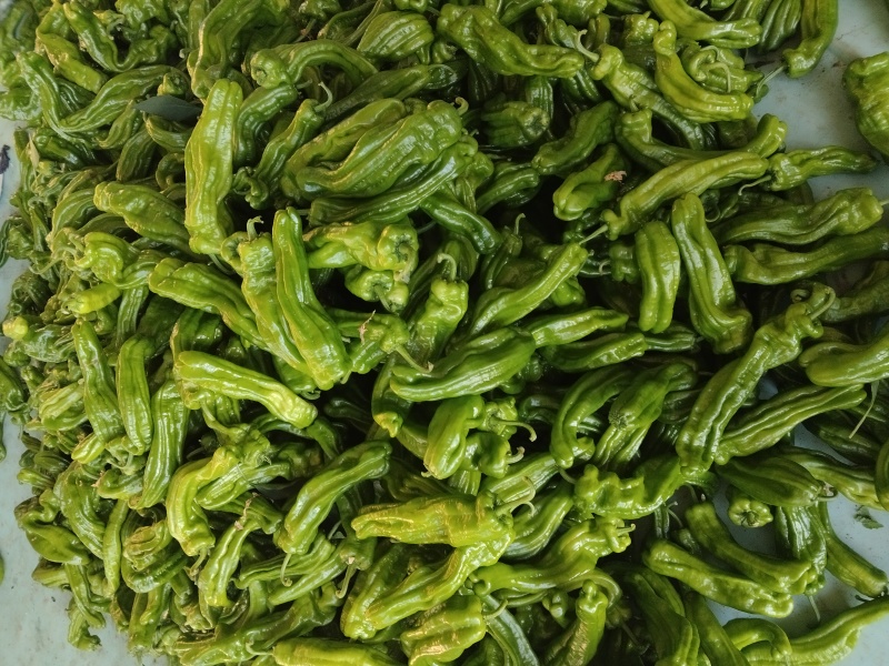 黄皮辣椒