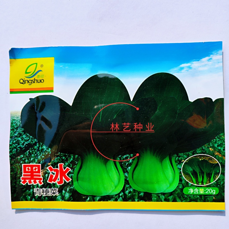黑冰青梗菜种子苏州青耐热耐寒束腰叶青菜种籽叶柄亮绿春秋季