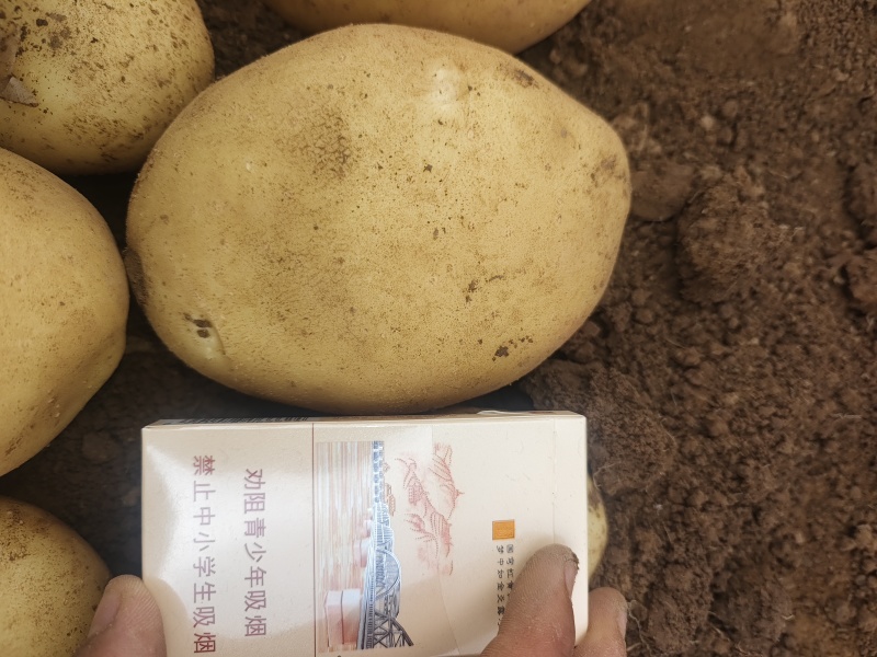 宝鸡百亩精品沃土5号.寻求有缘四川地区客户