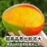 一件代发凯特芒承接各大平台订单，