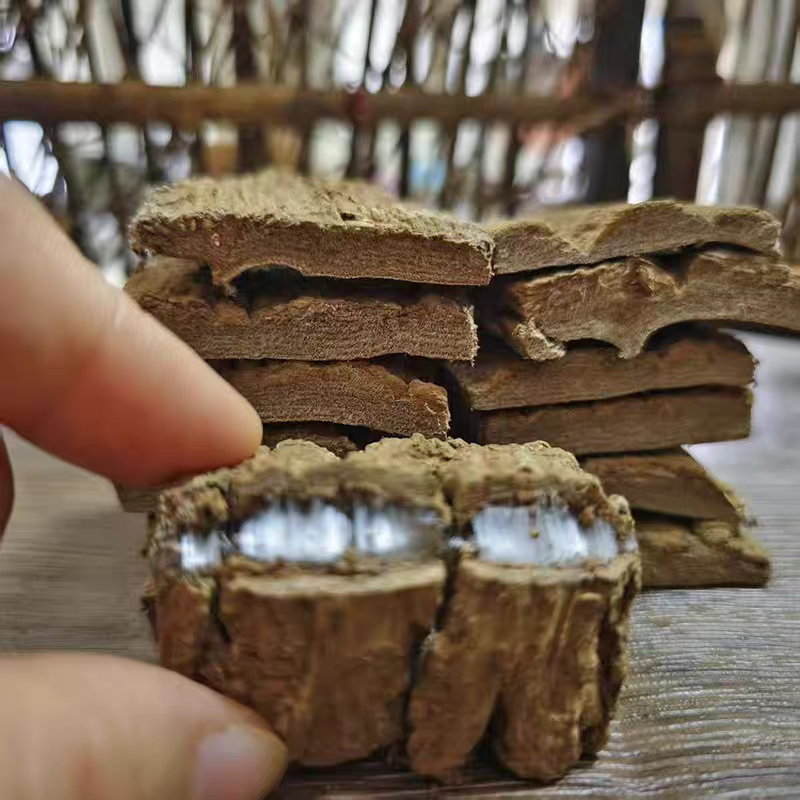 杜仲好杜仲，炒的杜仲，盐制杜仲丝各种规格都有欢迎选购批发