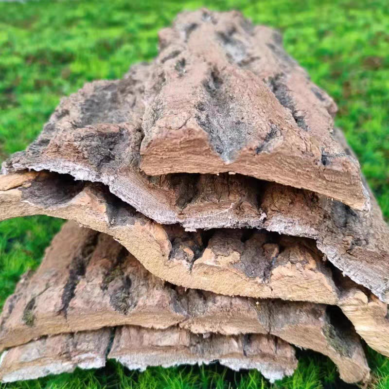 杜仲好杜仲，炒的杜仲，盐制杜仲丝各种规格都有欢迎选购批发
