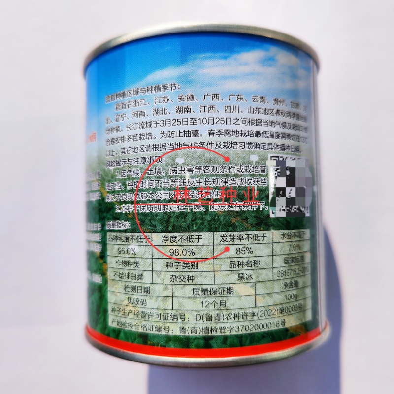 青硕黑冰青梗菜种子青菜籽耐热耐寒蔬菜基地菜园四季播种蔬菜