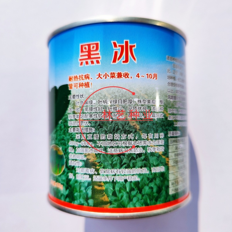 青硕黑冰青梗菜种子青菜籽耐热耐寒蔬菜基地菜园四季播种蔬菜