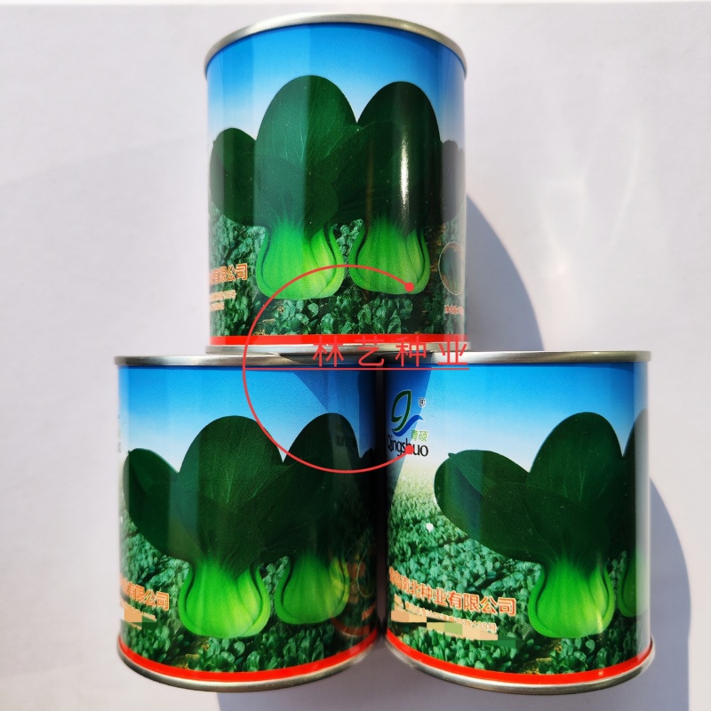 青硕黑冰青梗菜种子青菜籽耐热耐寒蔬菜基地菜园四季播种蔬菜