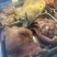 牛肉片