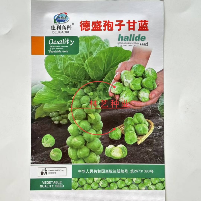 德盛孢子甘蓝种子高产抗病耐热耐寒农家菜园家庭种植蔬菜