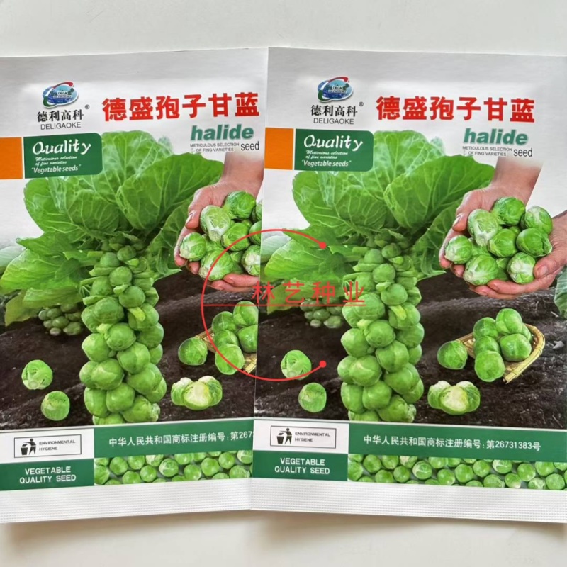 德盛孢子甘蓝种子高产抗病耐热耐寒农家菜园家庭种植蔬菜