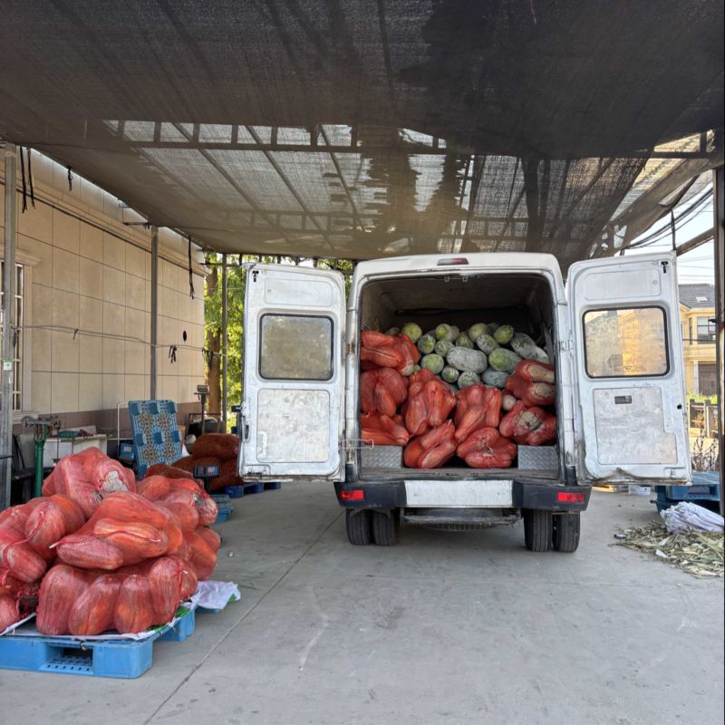 慈溪本地南瓜七毛上车