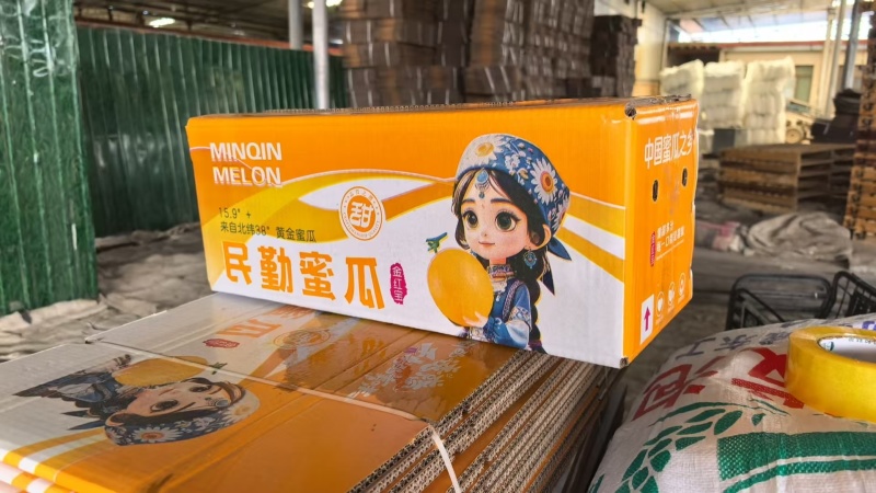 甘肃沙漠民勤蜜瓜金红宝，一件代发，团购，