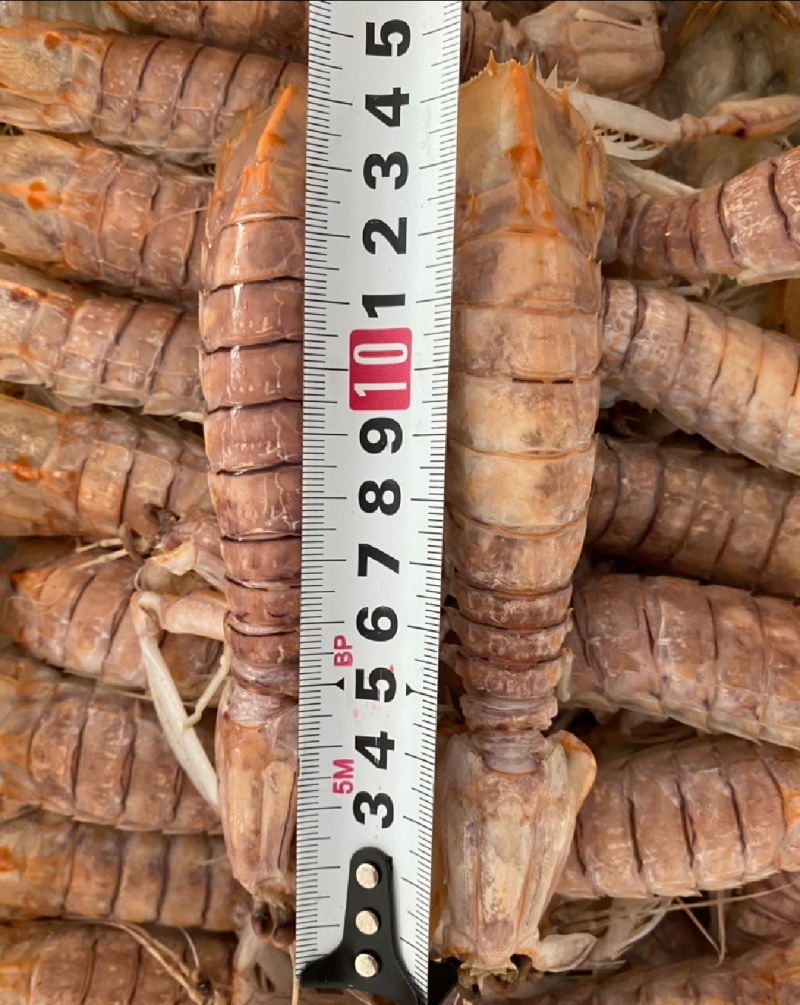 慢爪熟冻皮皮虾半肉皮皮虾