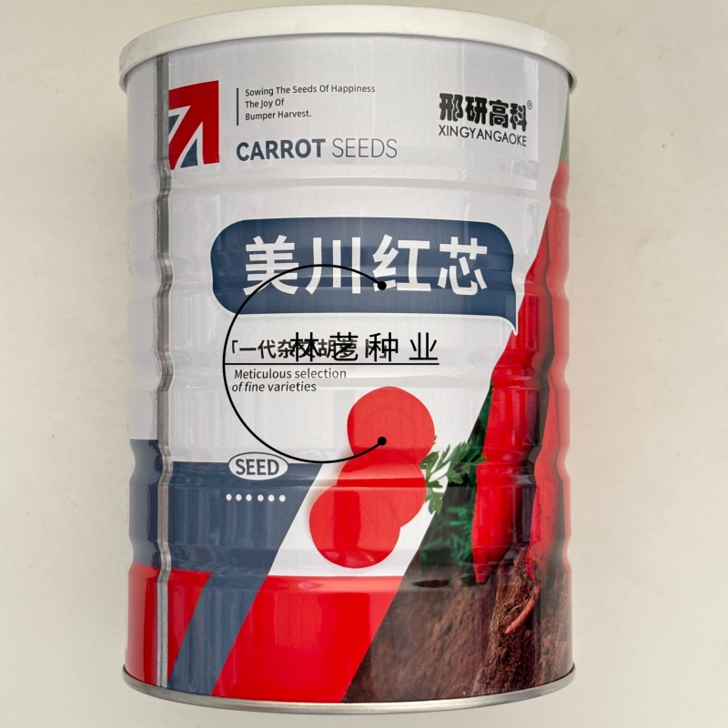 美川红芯杂交一代胡萝卜根形整齐颜色亮丽肉质鲜红细嫩品质好