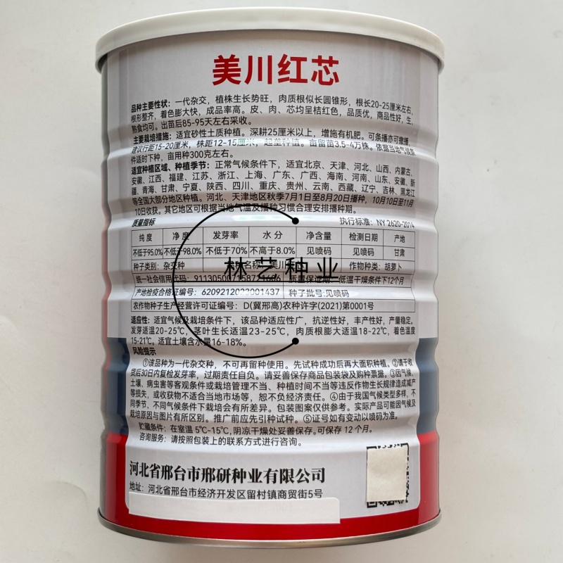 美川红芯杂交一代胡萝卜根形整齐颜色亮丽肉质鲜红细嫩品质好