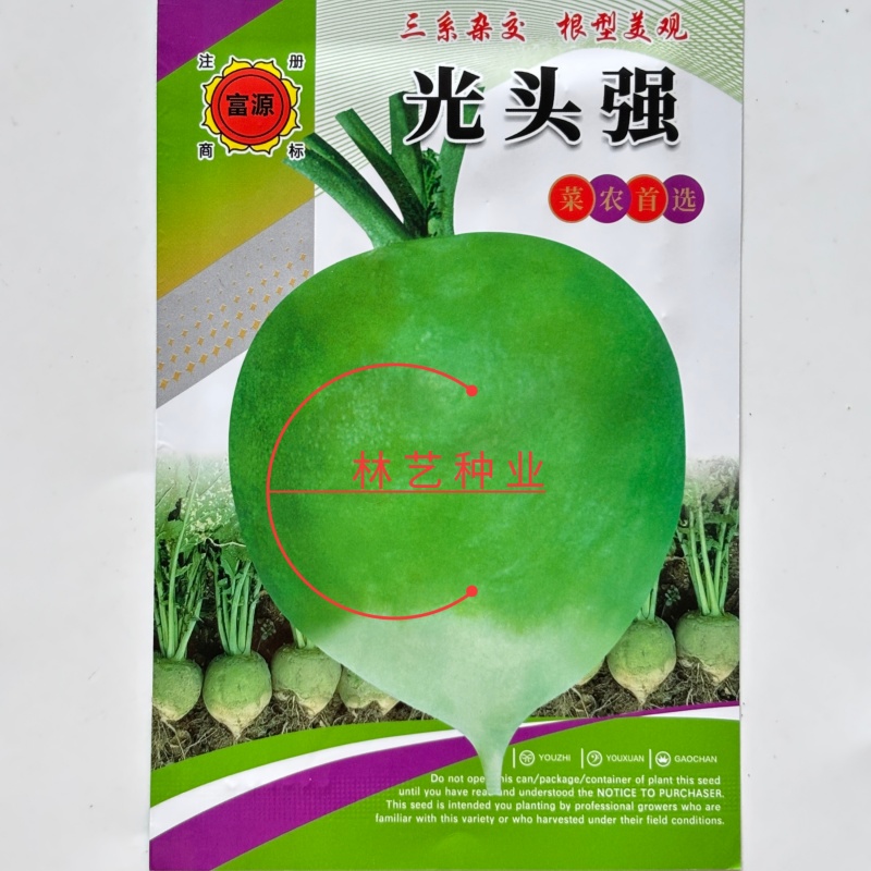 光头强芥菜种子一代杂交根用芥菜类型肉质根肥大根肉脆嫩介辣