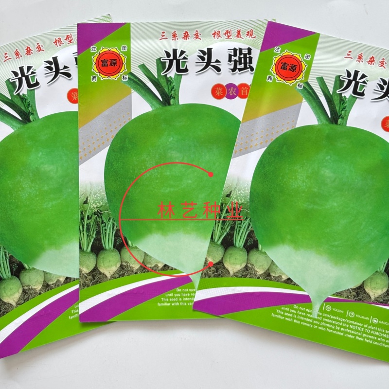 光头强芥菜种子一代杂交根用芥菜类型肉质根肥大根肉脆嫩介辣