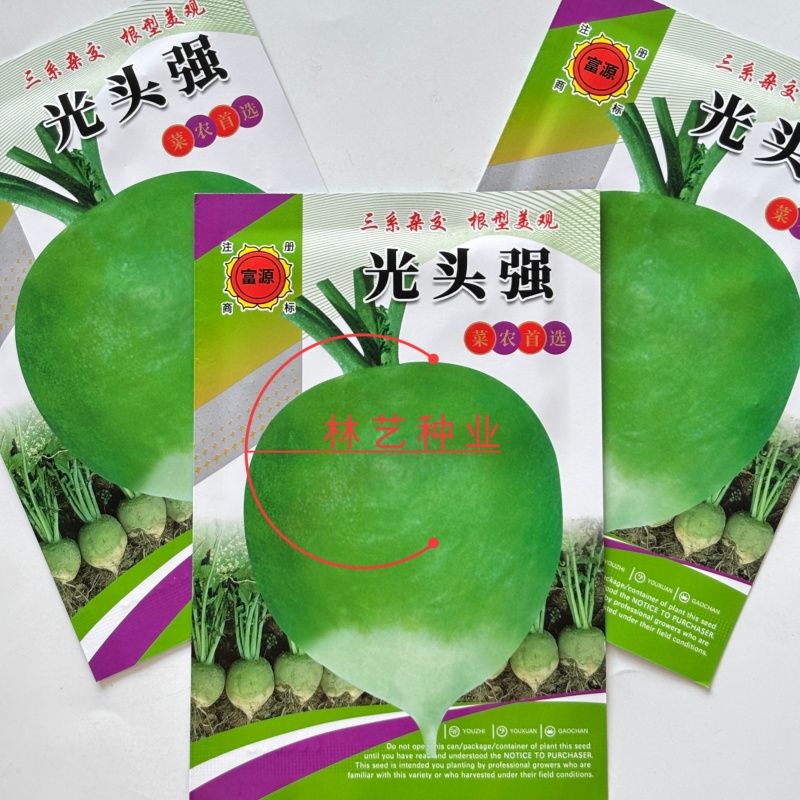 光头强芥菜种子一代杂交根用芥菜类型肉质根肥大根肉脆嫩介辣