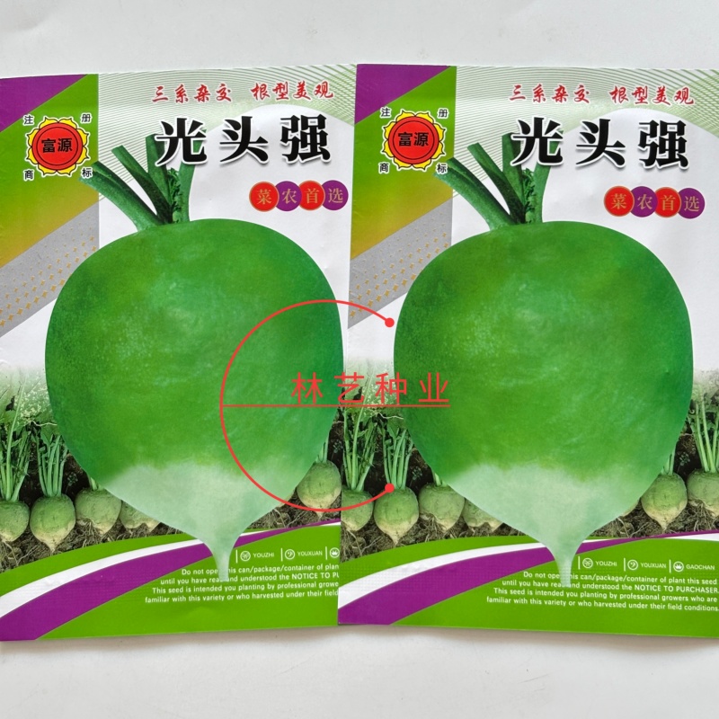 光头强芥菜种子一代杂交根用芥菜类型肉质根肥大根肉脆嫩介辣