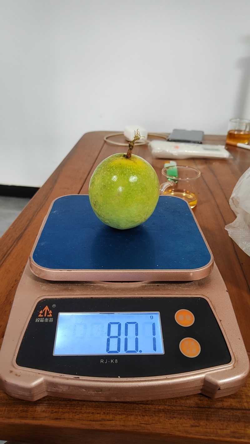 钦蜜九号百香果