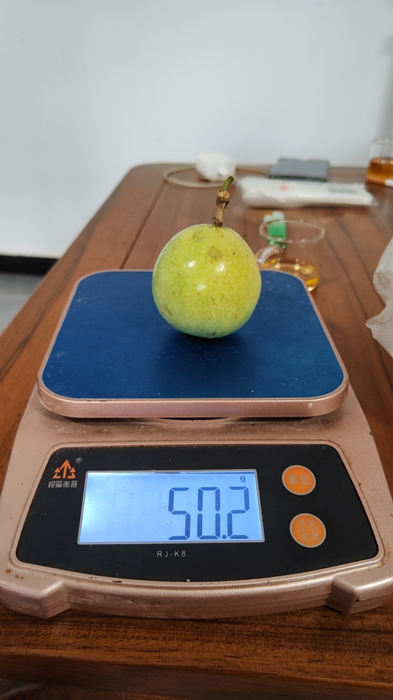 钦蜜九号百香果