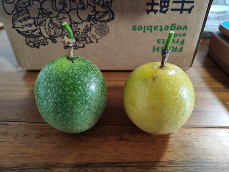 钦蜜九号百香果