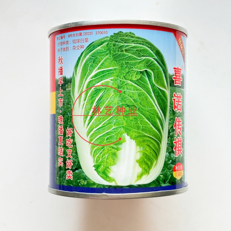 喜诺传祺大白菜种子高产北方耐寒耐储藏越冬白菜农用大田蔬菜