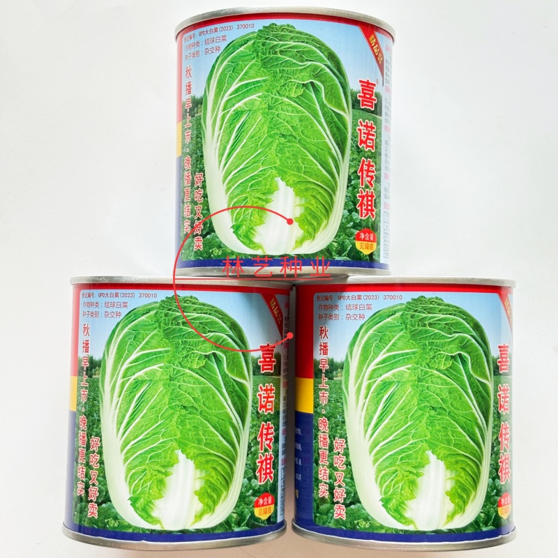 喜诺传祺大白菜种子高产北方耐寒耐储藏越冬白菜农用大田蔬菜