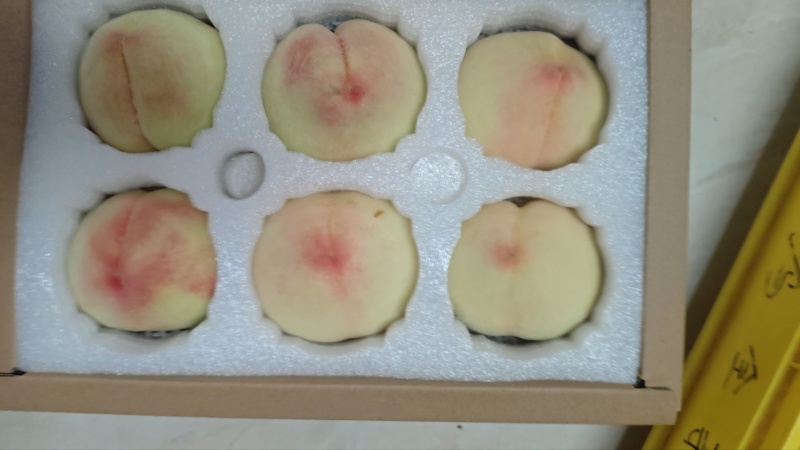 正宗阳山水蜜桃8两精品礼盒装