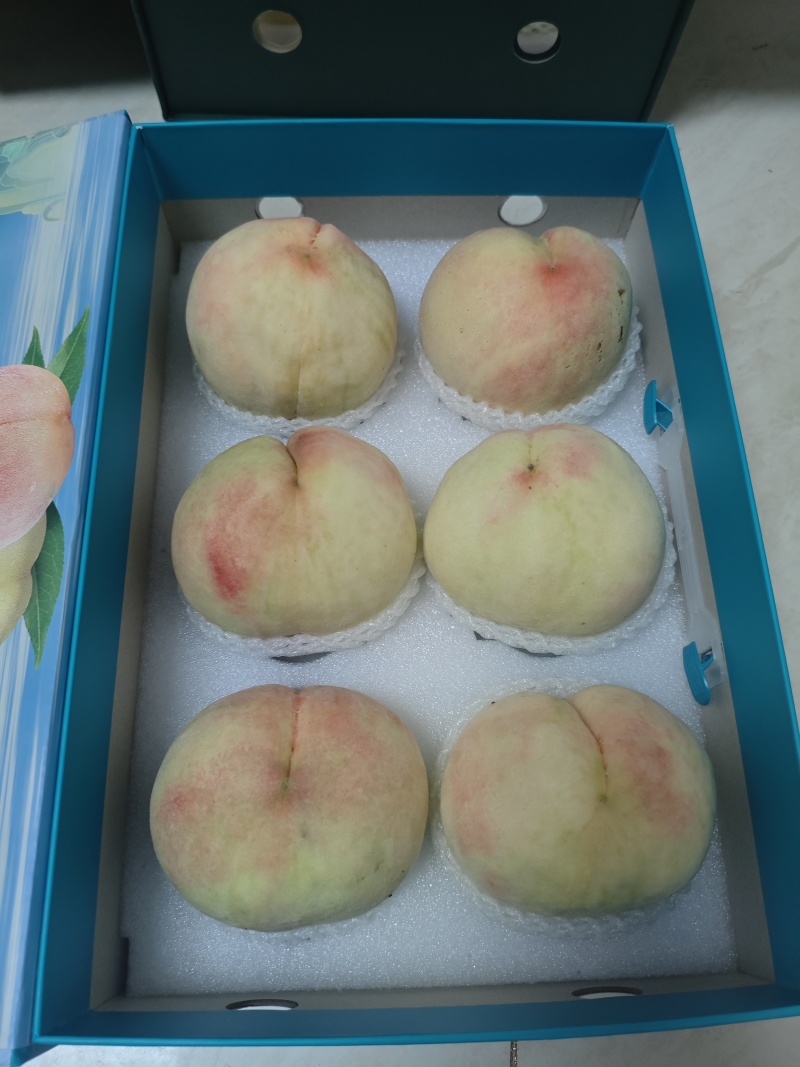 正宗阳山水蜜桃8两精品礼盒装