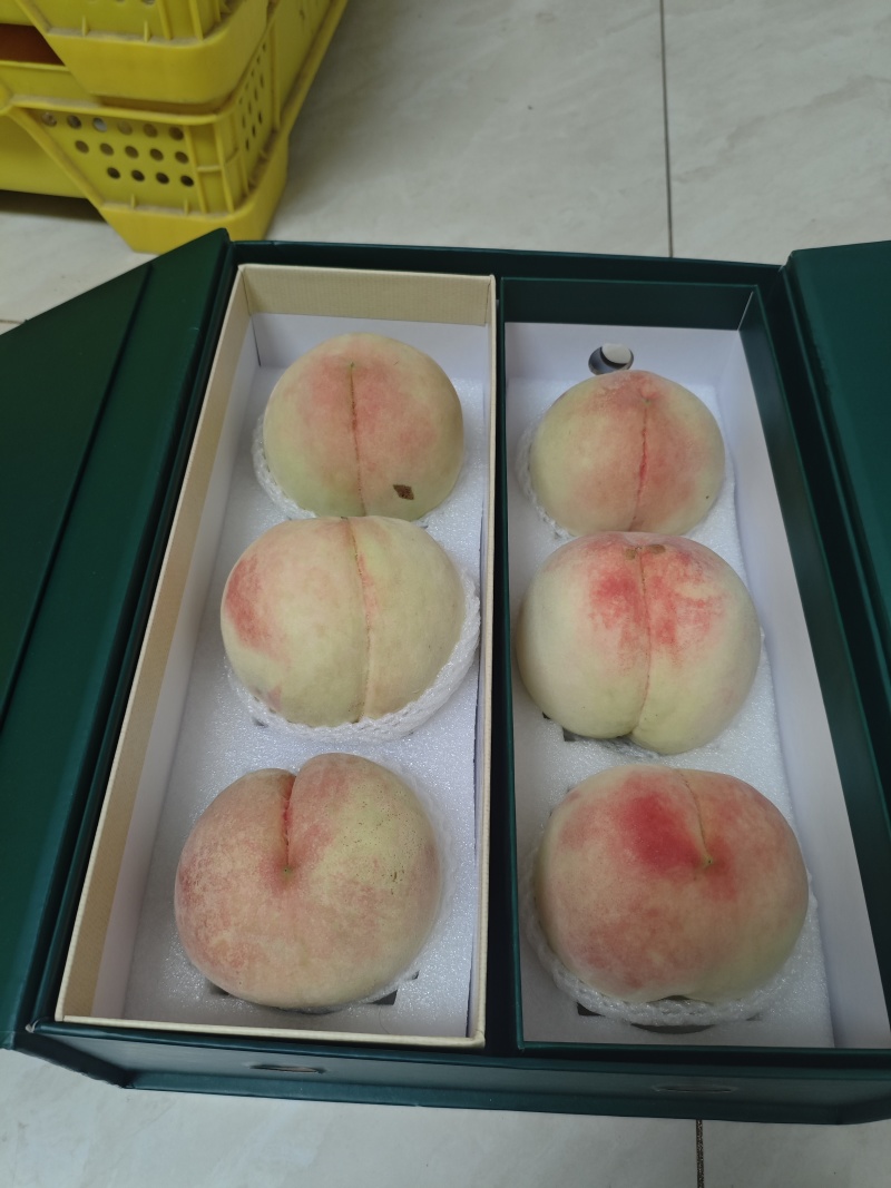 正宗阳山水蜜桃8两精品礼盒装