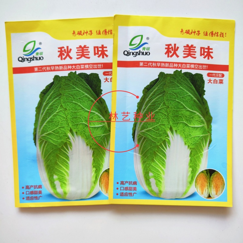 秋美味黄心大白菜种子高产抗抽苔南韩春秋两季农用大田种蔬菜