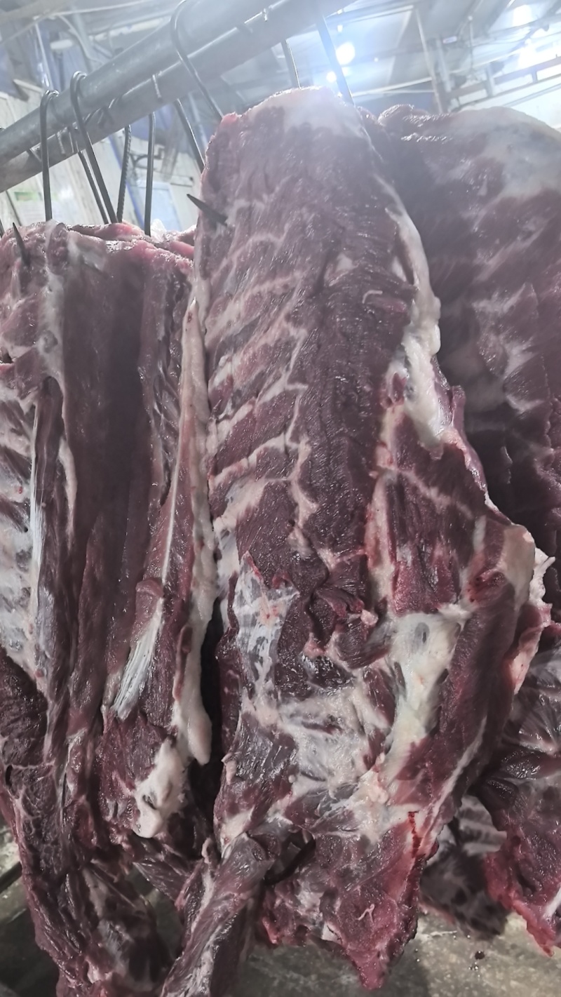 二代山猪肉