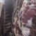 二代山猪肉