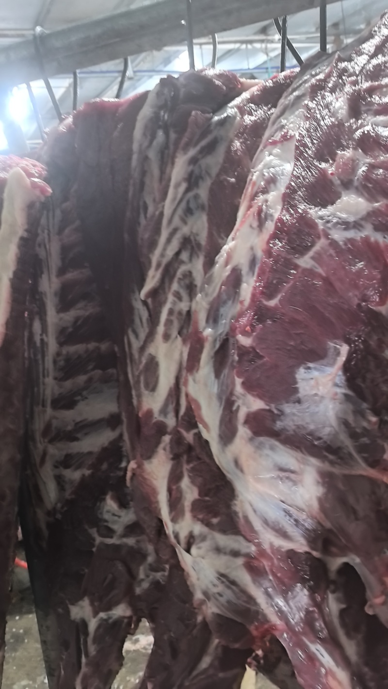 二代山猪肉