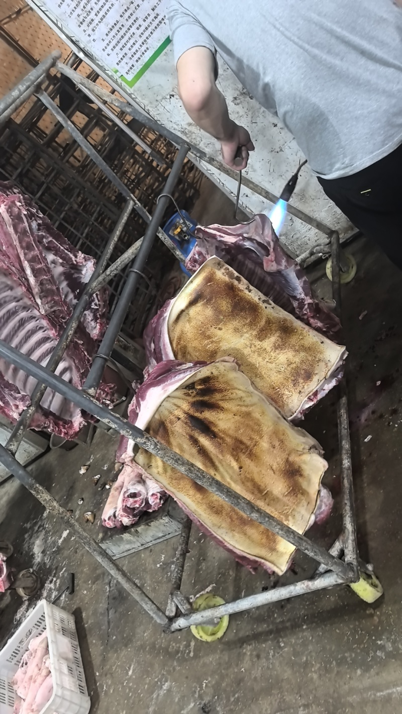 二代山猪肉