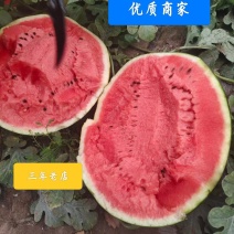 甜王西瓜大量上市，产地直发，品质保证，服务周到，诚信经营