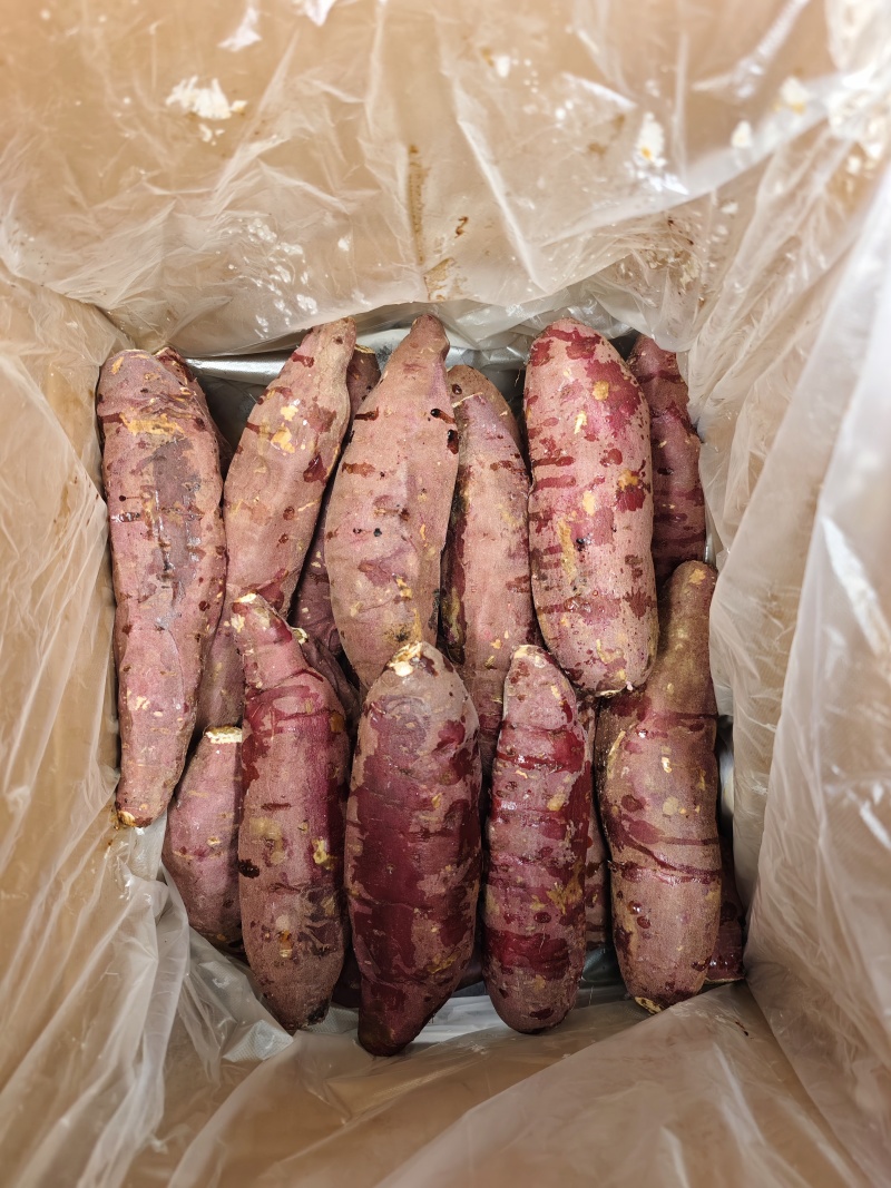 6.5的红瑶烤冰薯