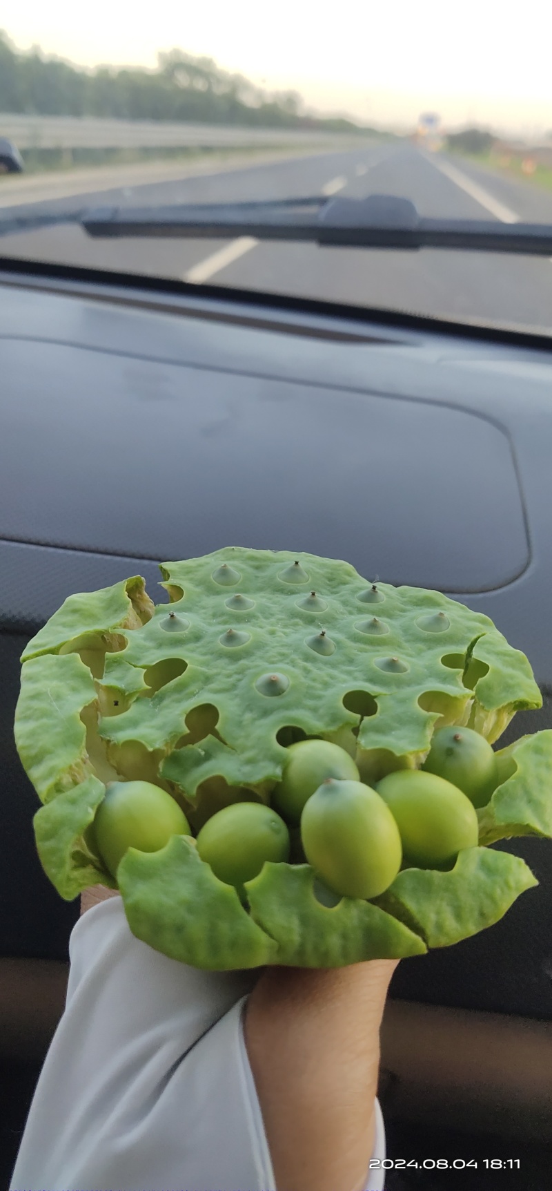 水果莲蓬香甜可口