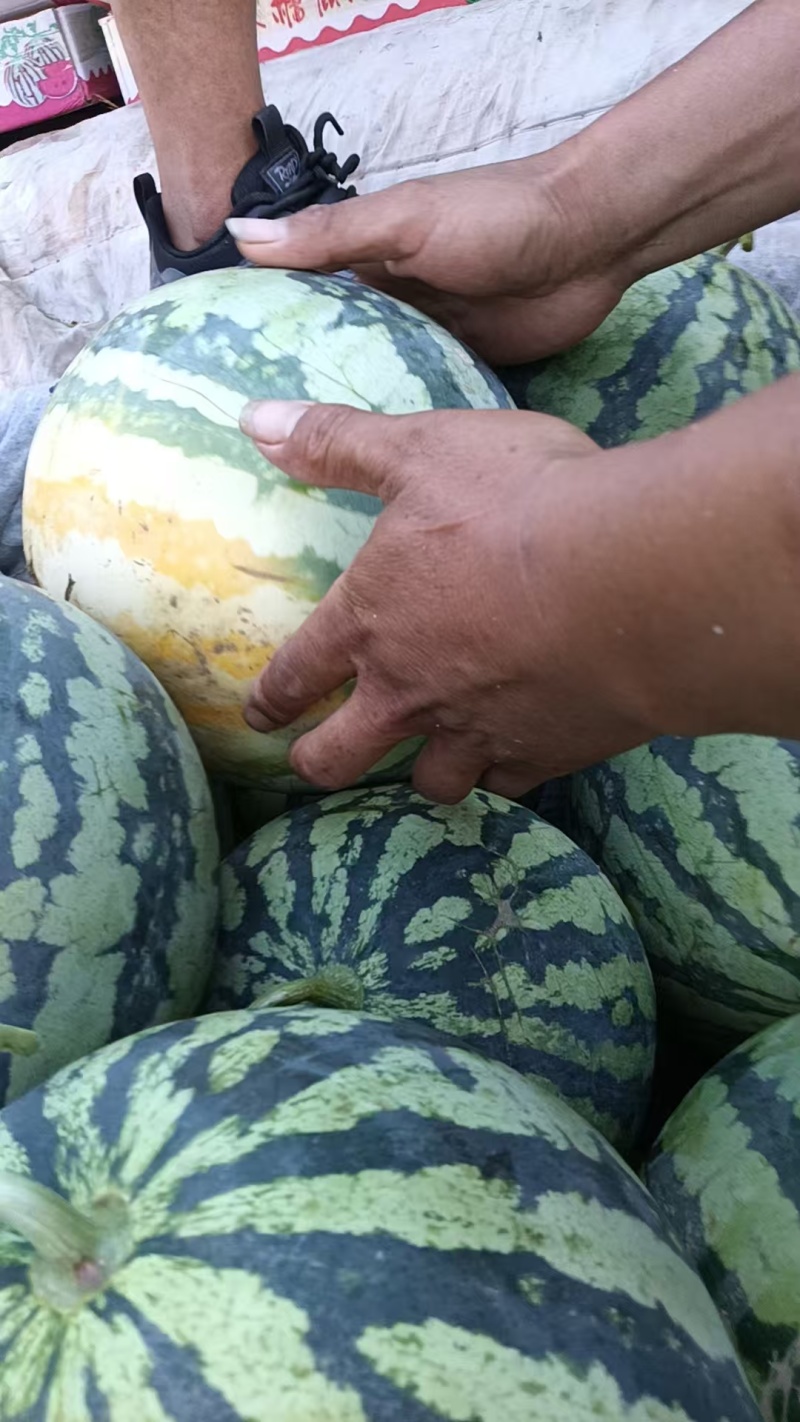 精品美都