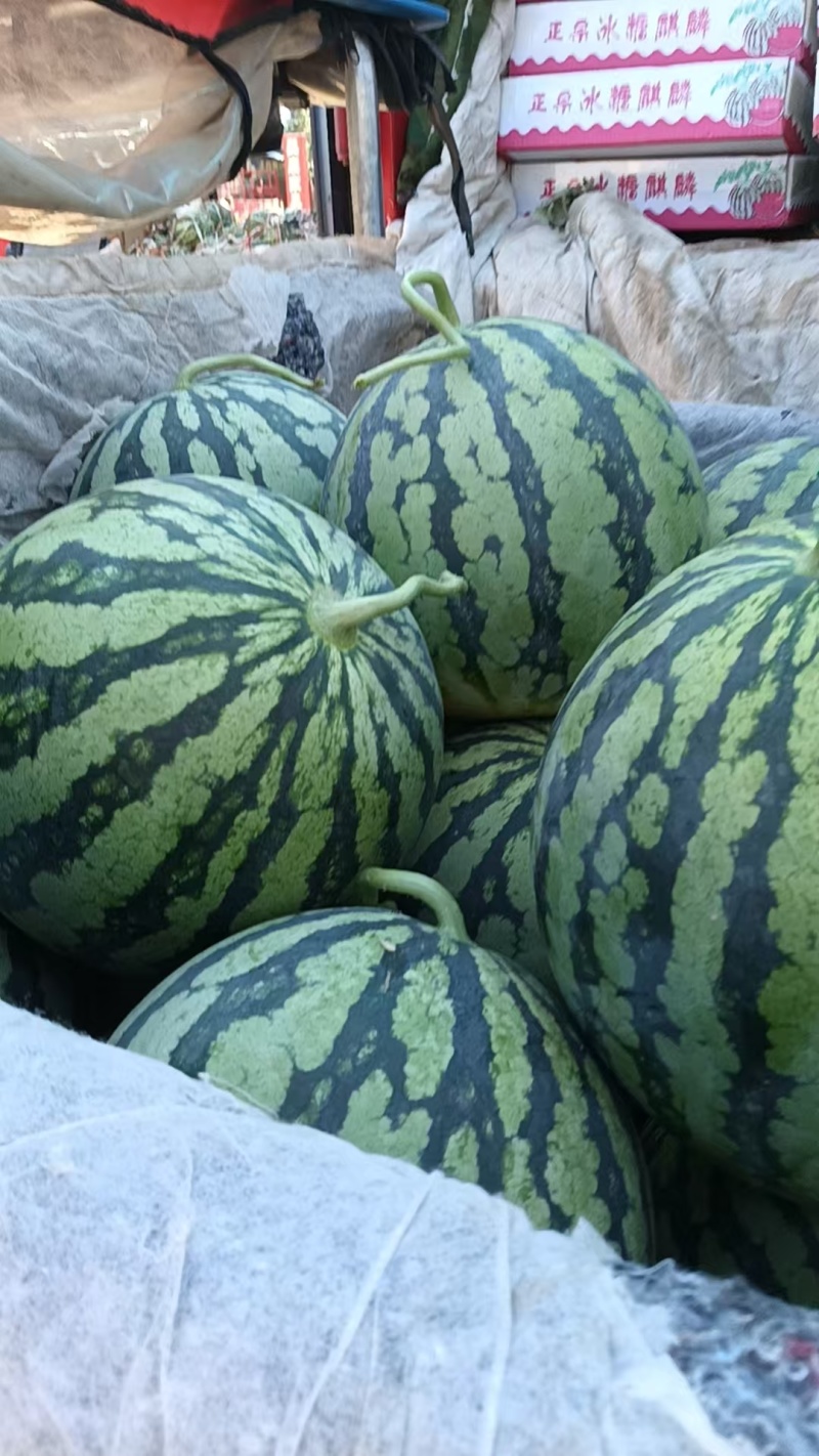 精品美都