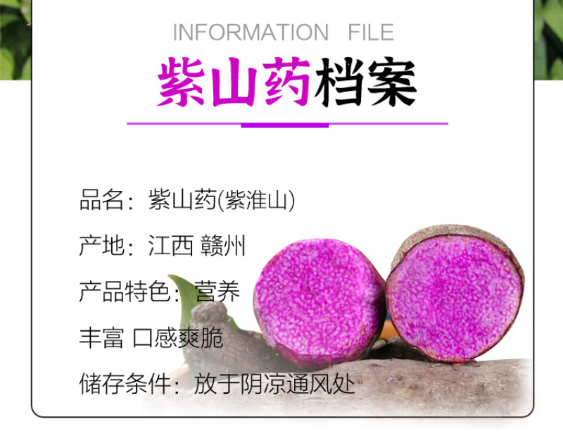 紫山药江西产区直发保质保量供货批发零售