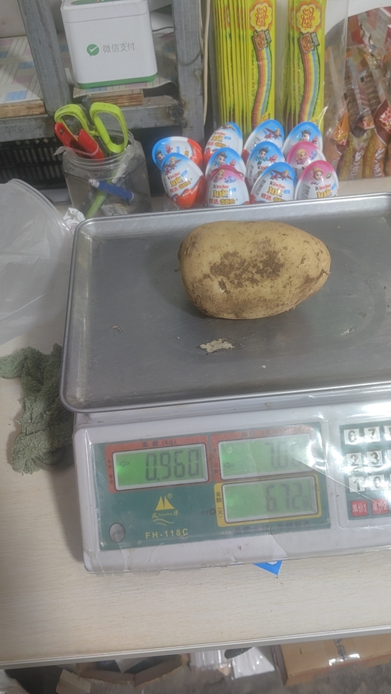 【热卖】辽宁精品沃土黄心。源头基地种植一手货源