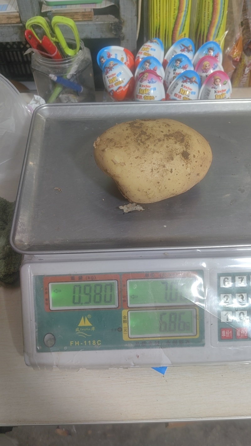 【热卖】辽宁精品沃土黄心。源头基地种植一手货源