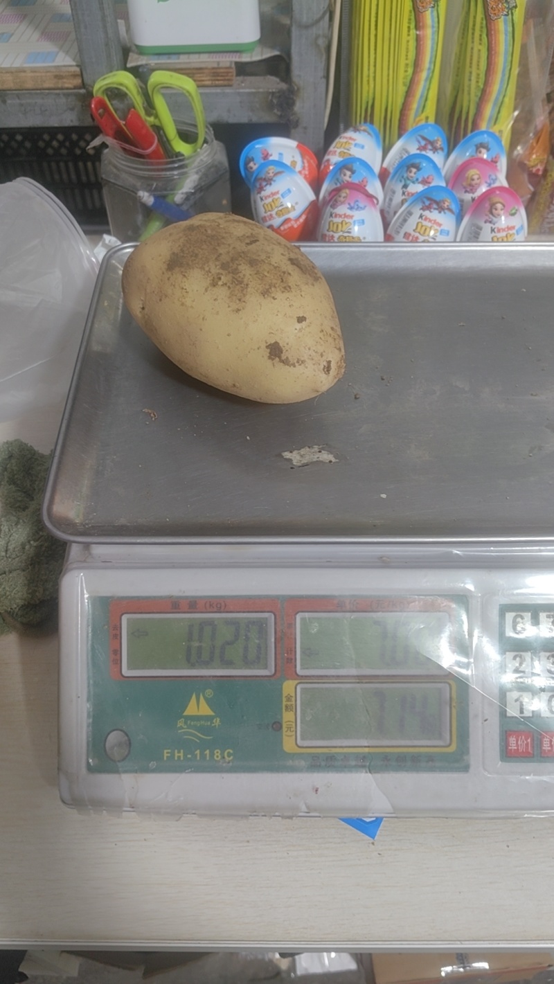 【热卖】辽宁精品沃土黄心。源头基地种植一手货源