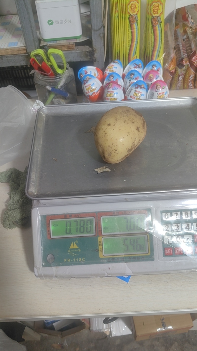 【热卖】辽宁精品沃土黄心。源头基地种植一手货源