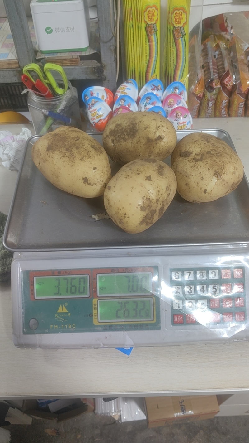 【热卖】辽宁精品沃土黄心。源头基地种植一手货源